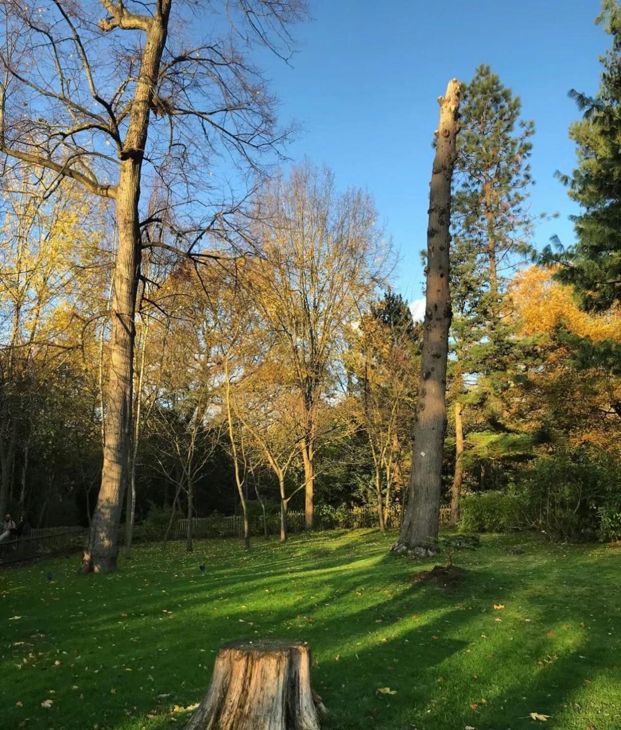 Wonderful Ensuite Room In Wimbledon Λονδίνο Εξωτερικό φωτογραφία